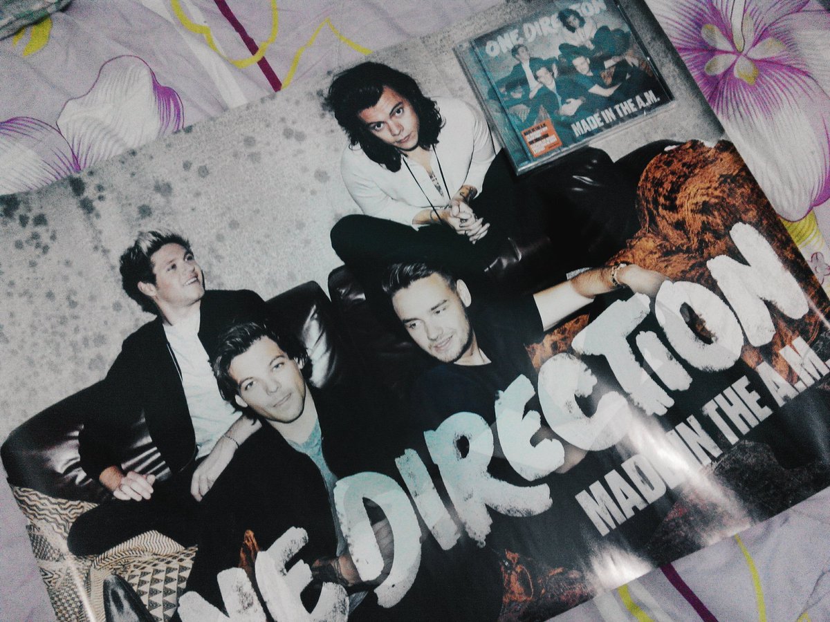 misishstyles tweet picture
