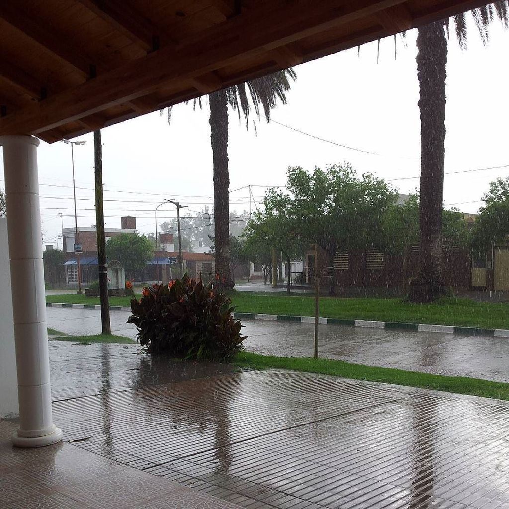 AngelaLucia77's tweet photo. Así se veía desde la oficina la lluvia y el granizo de esta tarde...
#Tormenta #Lluvia #Granizo #InstaClima https://t.co/0bxxpek0lg
