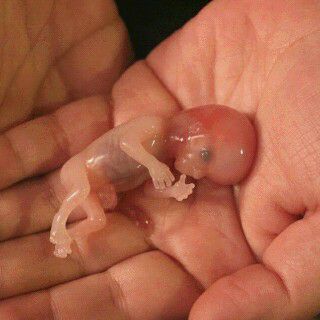 Joelyan (@joelyanpashter) on Twitter photo 