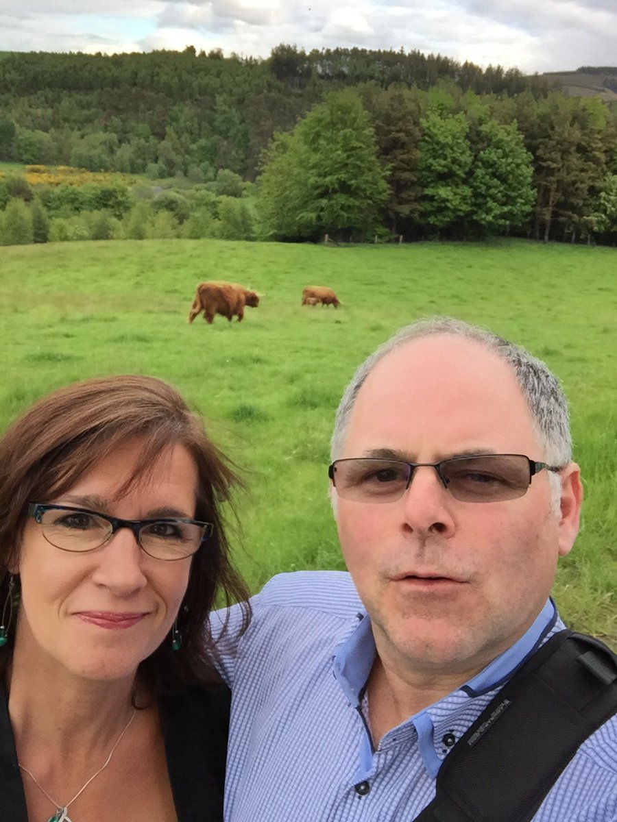 Allwhisky's tweet photo. #raiseTheMacallan @DanVolway @The_Macallan  ooh the coows of Macallan https://t.co/OD9ak4P6N1