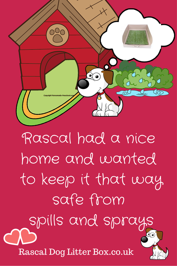 Pelz Lautsprecher Sofa rascal dog litter box Strom Theoretisch Verwirrt