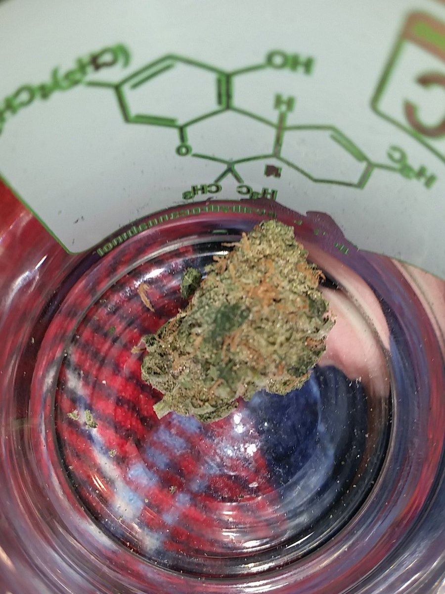 ConnorShivley23's tweet photo. When your dad gives you the most chron bud you've ever seen !!! #thanksdad  #bestbuds #420 #weedporn #marijane https://t.co/6G4NHUQviZ
