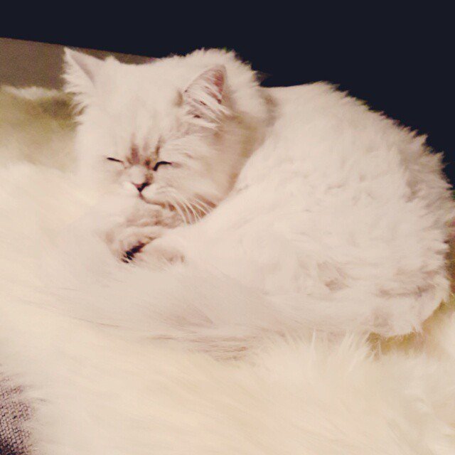 KRDSP's tweet photo. Insta video by kxxhara https://t.co/sY6uHENlwW #KRHR (チャチャ) https://t.co/VLmJYi2hIH