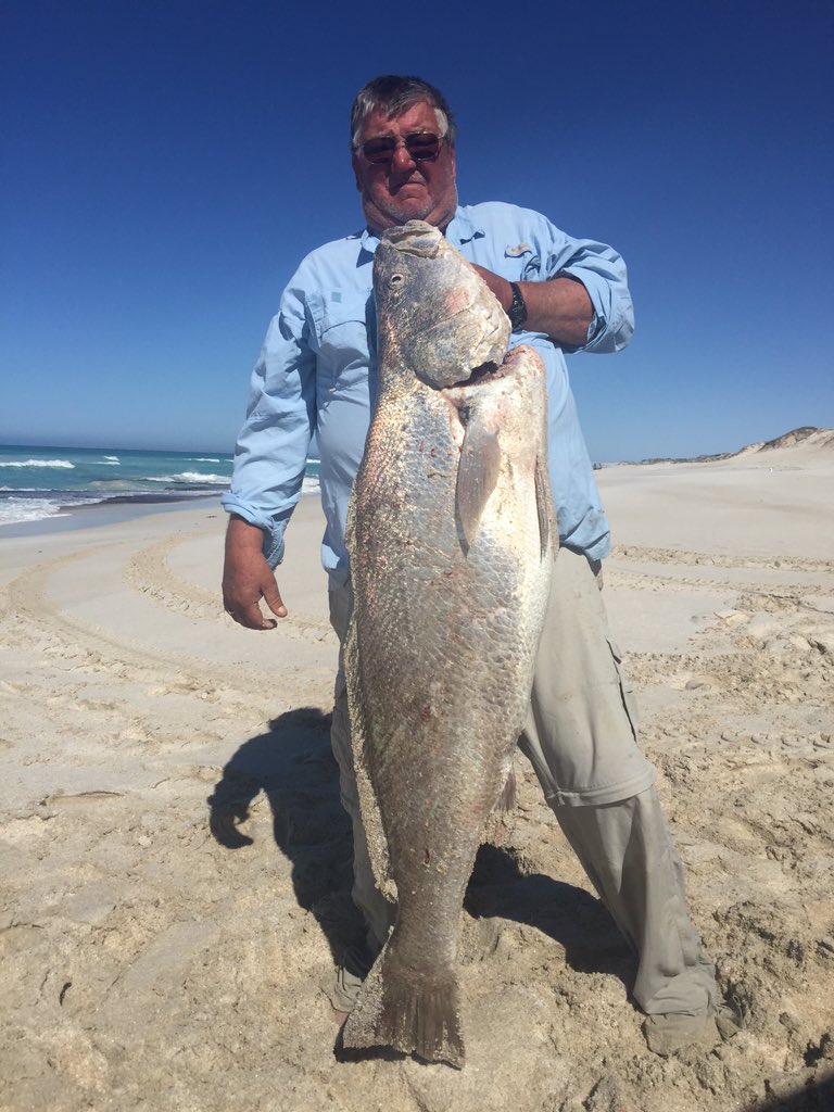 xtseafish's tweet photo. #seafordbaits #landbaseaddicts https://t.co/XtsPtEGfbs