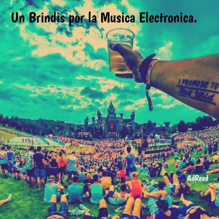 42782645b5ff4a3's tweet image. 