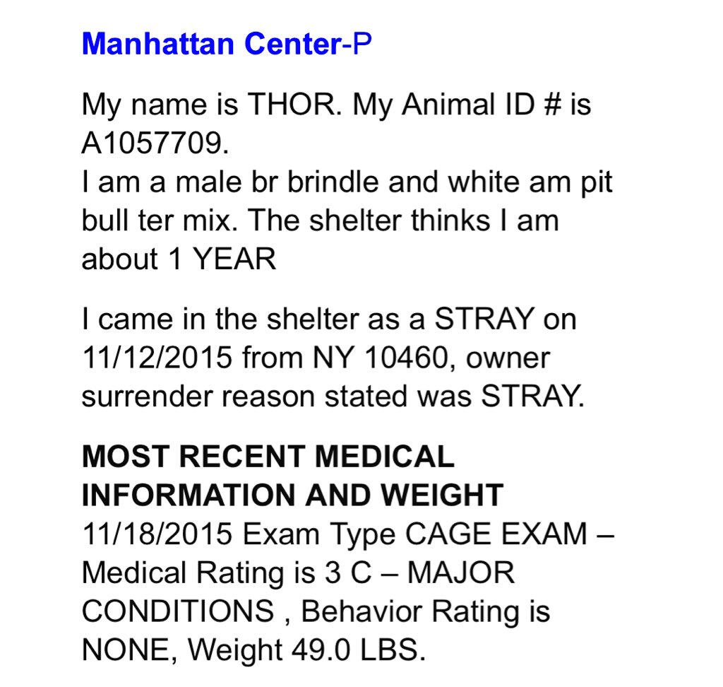 DogTreatNews's tweet photo. RT #nirritiJR: https://t.co/CsbyrZ6DoS RT ruthmen: PLS RT2BKILLED11/19🆘 #NYC #DOGS 2B #ADOPT #FOSTER #RESCUE #PLE… https://t.co/g6SXExs0tj
