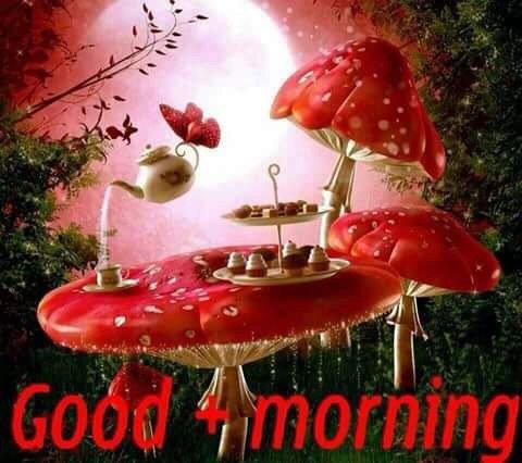 STUINFONZL's tweet photo. GOOD MORNING 2 ALL https://t.co/WWvVx035EG
