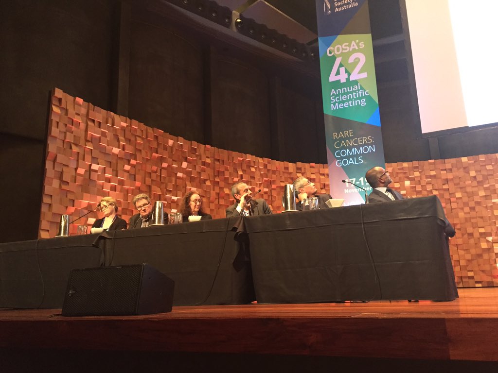 RareCancers's tweet photo. And the panel!! Including @RareCancers co-founder Richard Vines #COSA2015 https://t.co/8CkK2mEF97