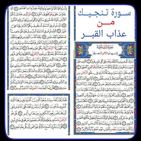 1406Dell's tweet photo. صباح الخير https://t.co/5u3WkhzLYa