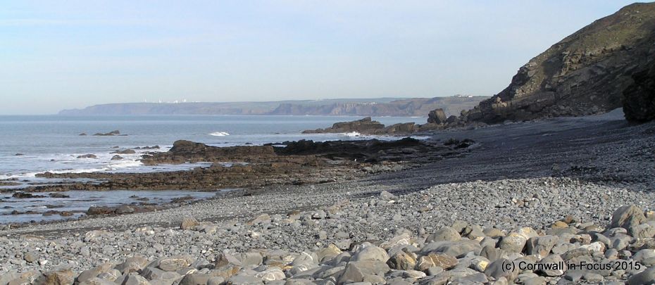 Will Wallis tweet media