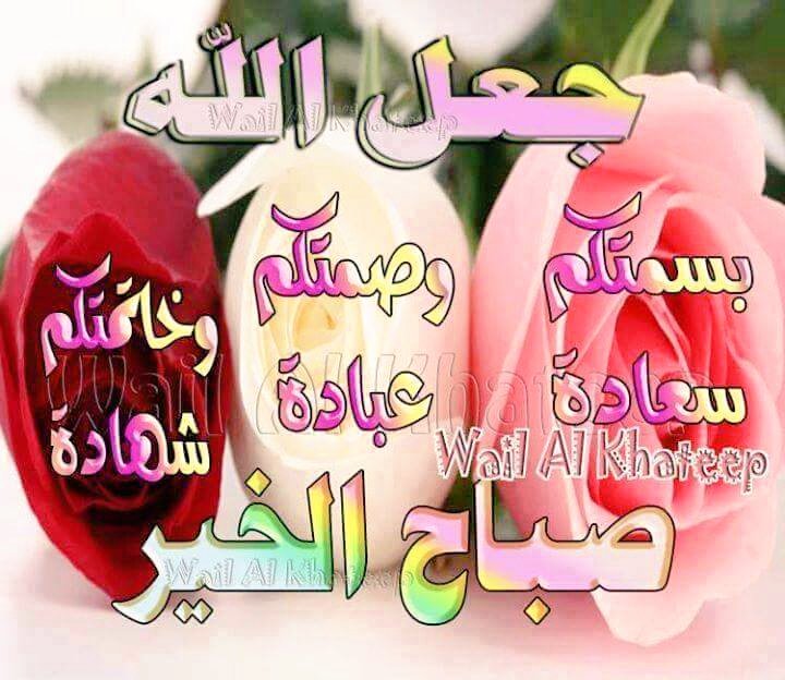 اصبحكم بأجمل تغاريد العشق العلوي المهدي اسعدتم صباحا وجعله صباح المسرات وتبليغ التحيات بصلاة على محمد وال محمد