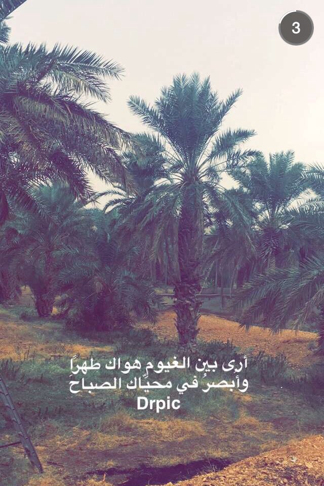 fo0z91's tweet photo. #صباحيات
من سناب #drpic https://t.co/iEKmaPLhxp