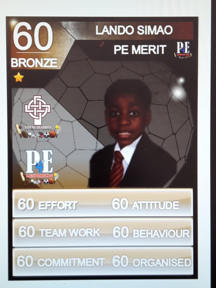 STM_PE's tweet photo. Well done to our @STM_PE Bronze Stars in PE #PELads #rolemodels https://t.co/jw55GhDPa2