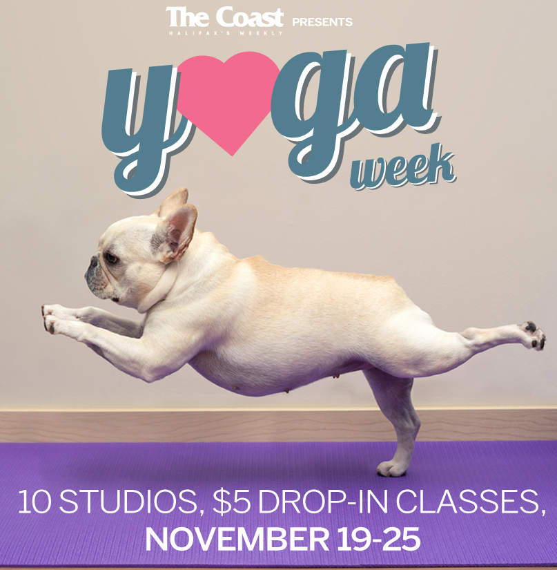 TAYS_YOGA's tweet photo. Yoga week starts today! 10 studios in Halifax. Get your passport there and win prizes @TwitCoast #YogaWeekHFX https://t.co/UOjW0QX6lX