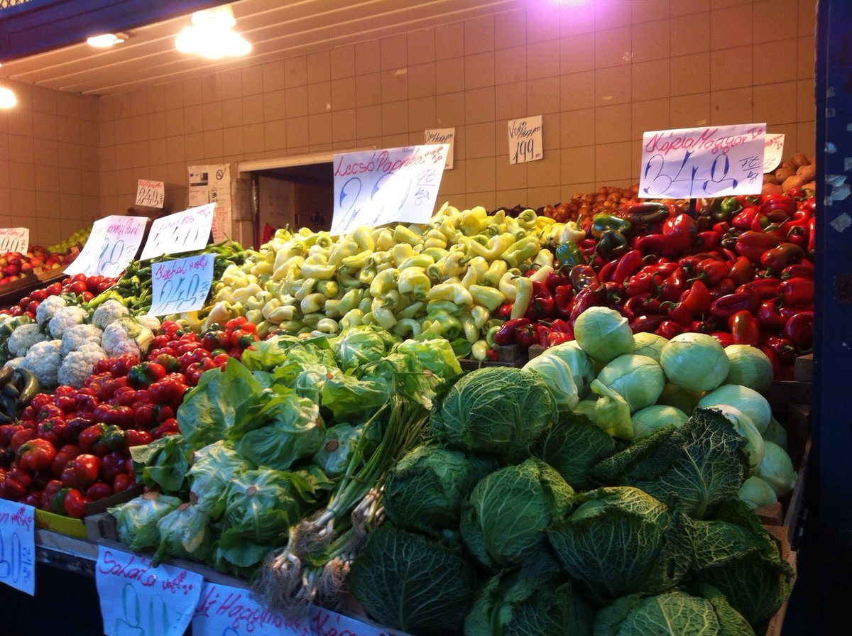 Carry on with the same!!! #goodmorning #thursday #buy #expirience #new #amazing #instafood #instagood #budapest