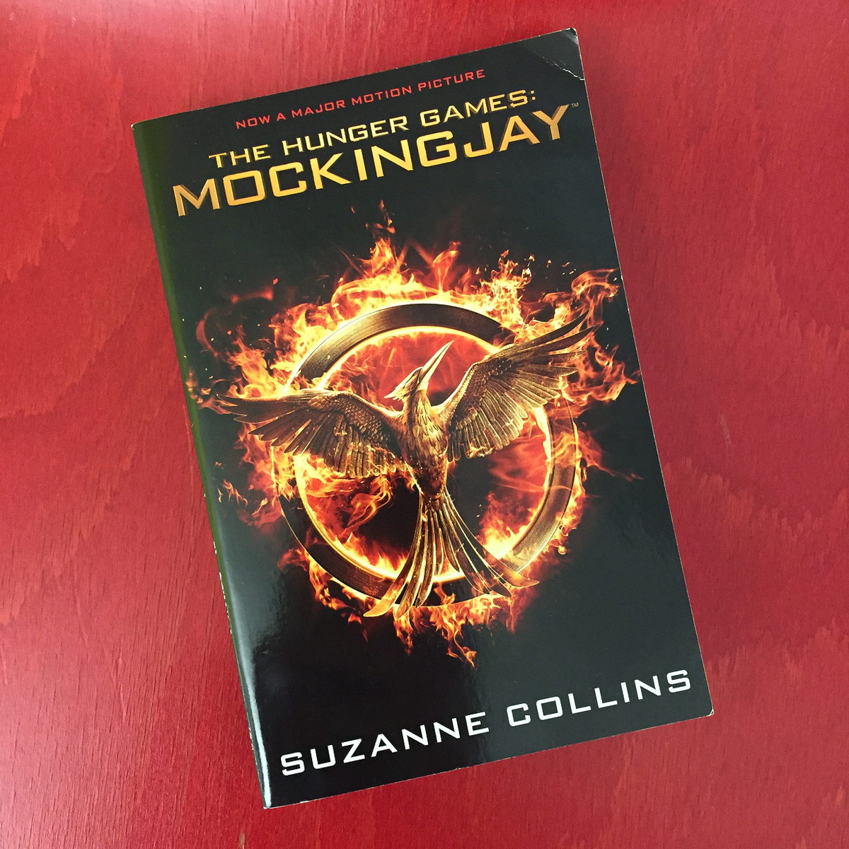 readmockingjay's tweet photo. The day has arrived, Mockingjay Part 2 is in cinemas NOW! May the odds be ever in your favour! #Readmockingjay https://t.co/TpiRYrpwwS