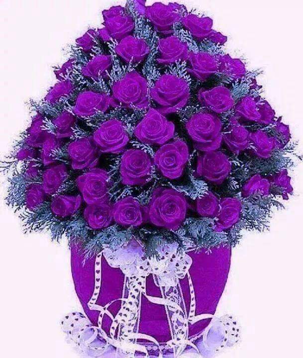 صباح الورد