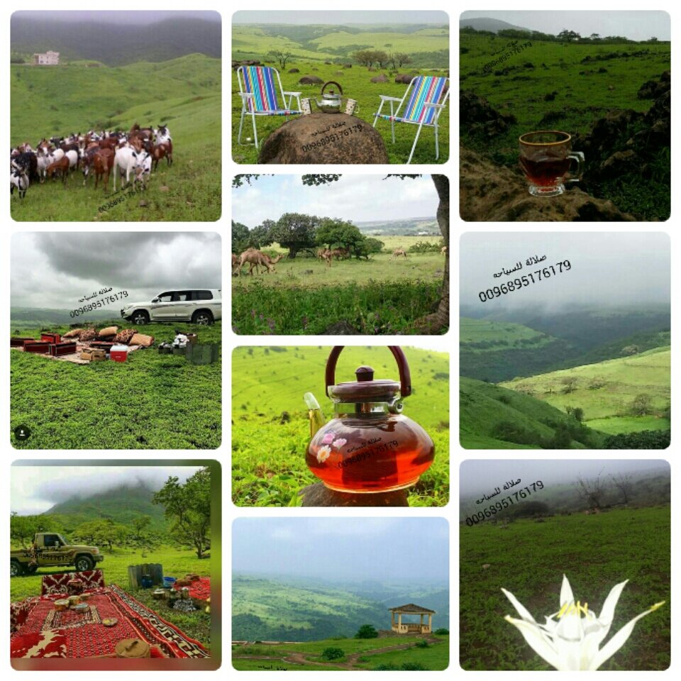 aabbaa446's tweet image. # صلالة للسياحه 0096895176179