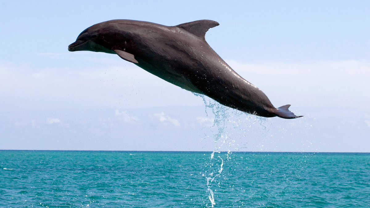 BBC Radio 4 tweet media