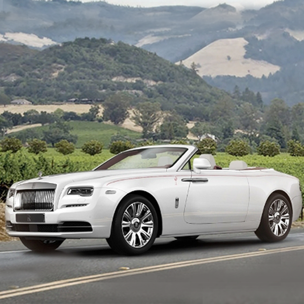 theluxecafe's tweet image. This @RollsRoyce’s new #LuxuryConvertible is up for #auction. 

#Luxury #NaplesWinterWineFestival