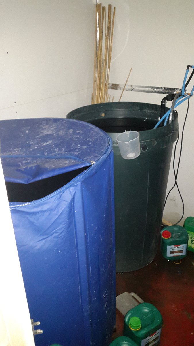 MPSEnfield's tweet photo. 4 Cannabis Factories closed in Enfield yesterday by Safer Neighbourhoods. 1000 cannabis plants dead #TomatoesInstead https://t.co/SJ5JmyBmkz