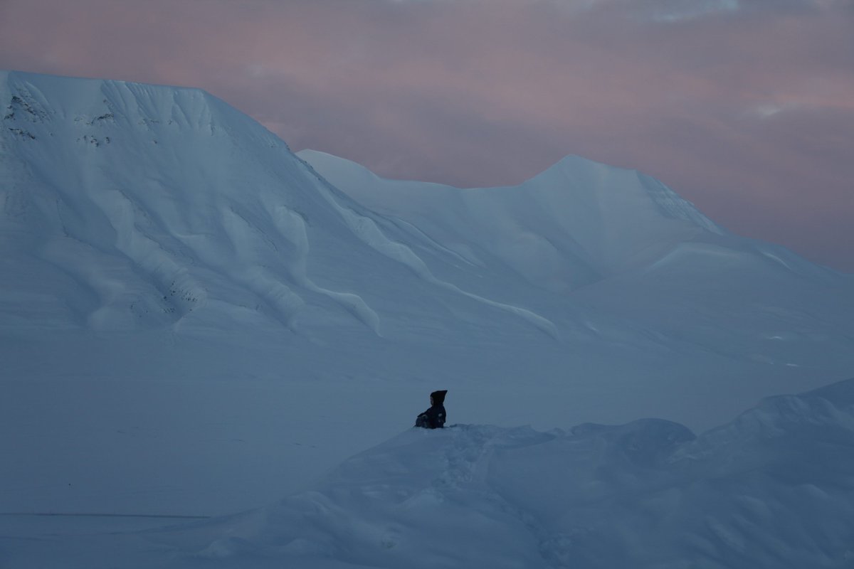 greensvalbard's tweet photo. #Svalbard #Stunning #Arctic #GreenDogSvalbard https://t.co/7ycSaO82HJ