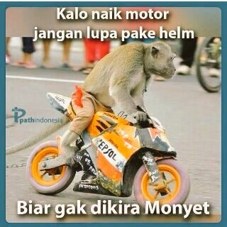 Kalo naik motor pake helm ya guys?  Emang mau disamain sama menyetujui?  😉😉😉