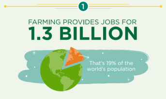 Como impacta la #agricultura en la #economía global: ow.ly/UPUoG  HT <a href="/CropLifeIntl/">CropLife International</a>