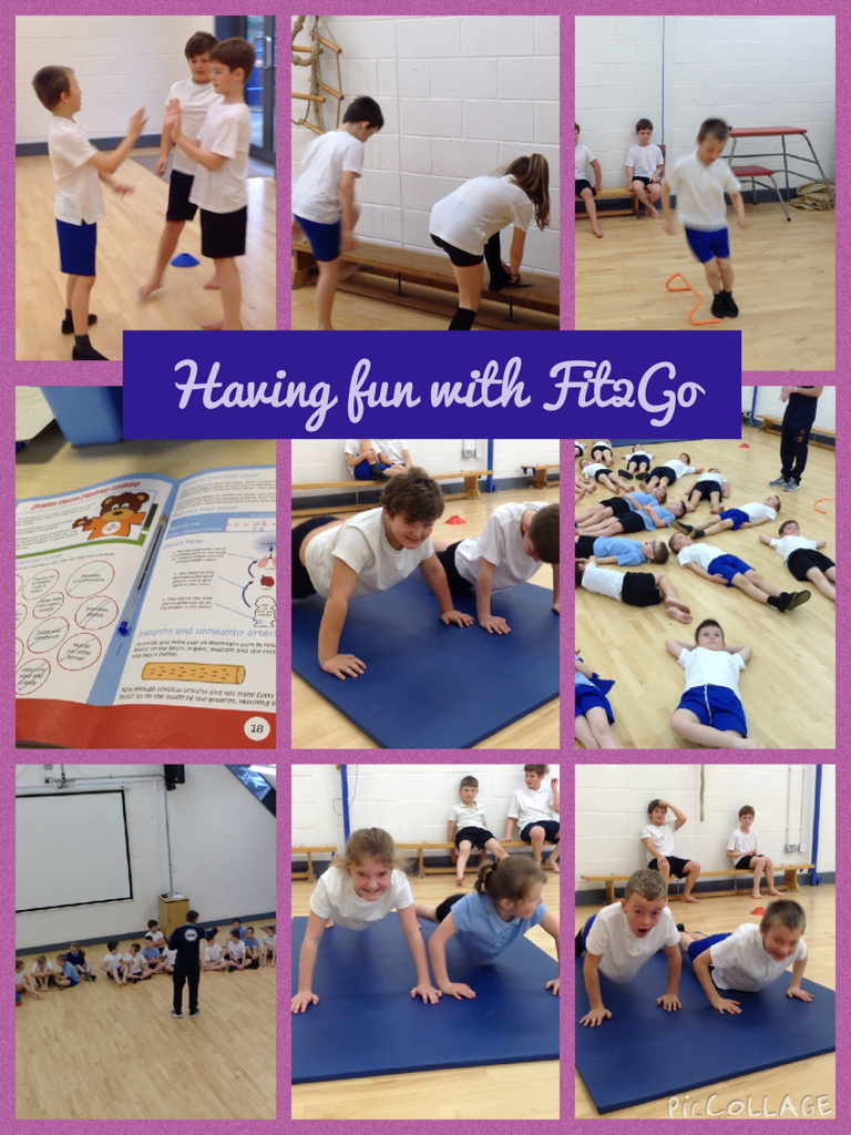 Having fun with Fit2Go pic-collage.com/_ZF3Fi2UK
