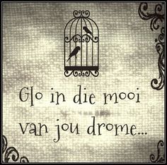 anke_vosloo's tweet image. 