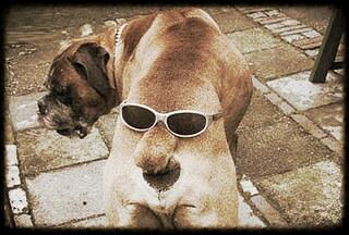 juniorgdbm's tweet image. 