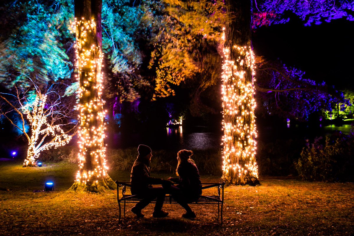 VisitBelfast's tweet photo. Take a peek @NTMountStewart colourful illuminations during Festival of Light, 20 - 29 Nov >> https://t.co/JQyx6Drr0u https://t.co/asULeCnQ8X