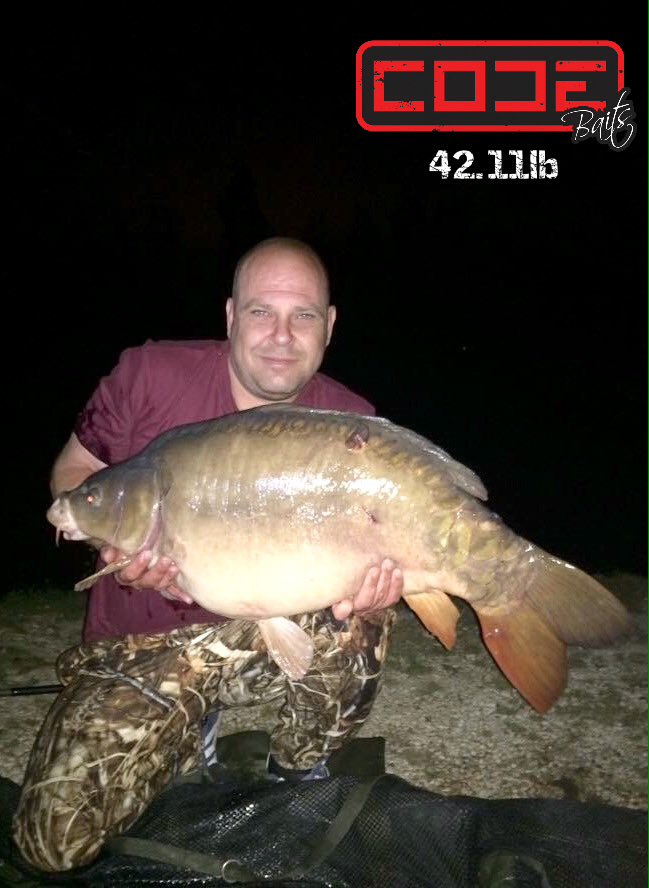 CodeBaits's tweet image. 