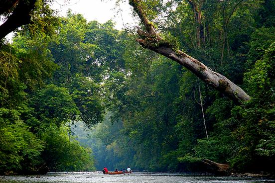 xcaperesort's tweet photo. Discover, enjoy and release your stress within the most amazing beauty nature in Taman Negara. https://t.co/IrMF4xXjuQ