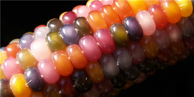 Chris Paton tweet media