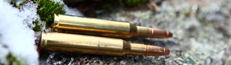 Découvrez nos conseils pour choisir les munitions les plus adaptées en #Battue.
bit.ly/1OSFuNr
#Chasse