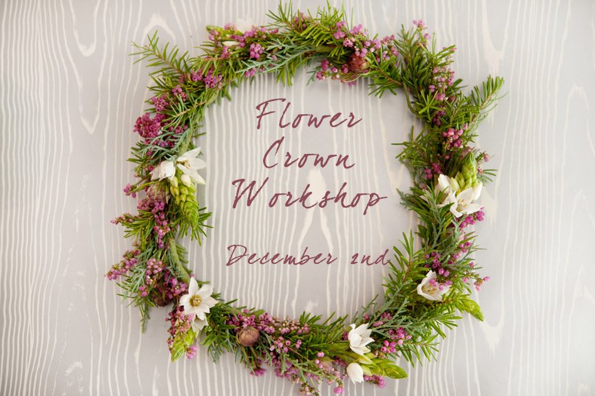 Tara Whittaker tweet media