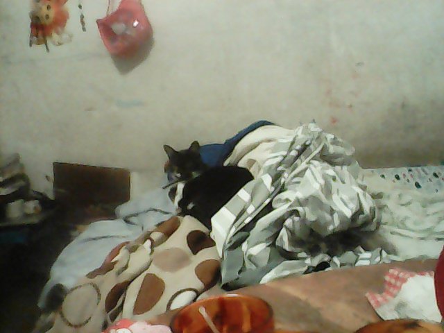 mikucoppola's tweet image. #asiandamos #hermosa 😊😀#tabletpower