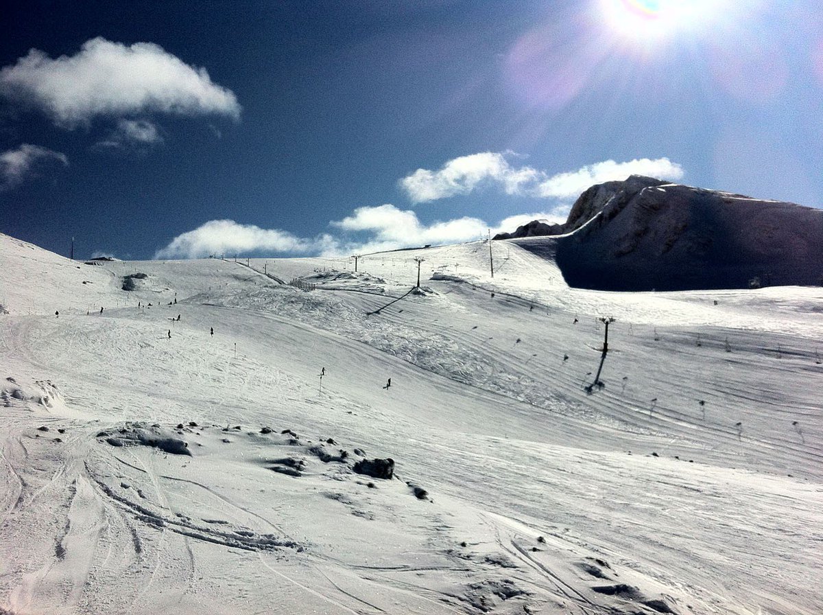 Terrabook tweet media