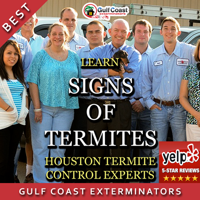 GCEPests's tweet photo. #Termite Inspection #Houston Company GCE Shares "Signs Of Termites - Facts, Info &amp; Help" https://t.co/NcITLVppqX https://t.co/eEqAQ7sbDz