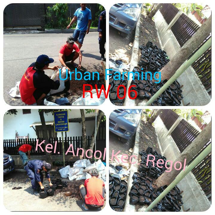 AncolKarta's tweet photo. Alhamdulillah bnyak yg respect tentang Urban Farming dilingkungan ini, @dispertapa_bdg @ridwankamil @DiskominfoBdg https://t.co/fwhsq7pp3r