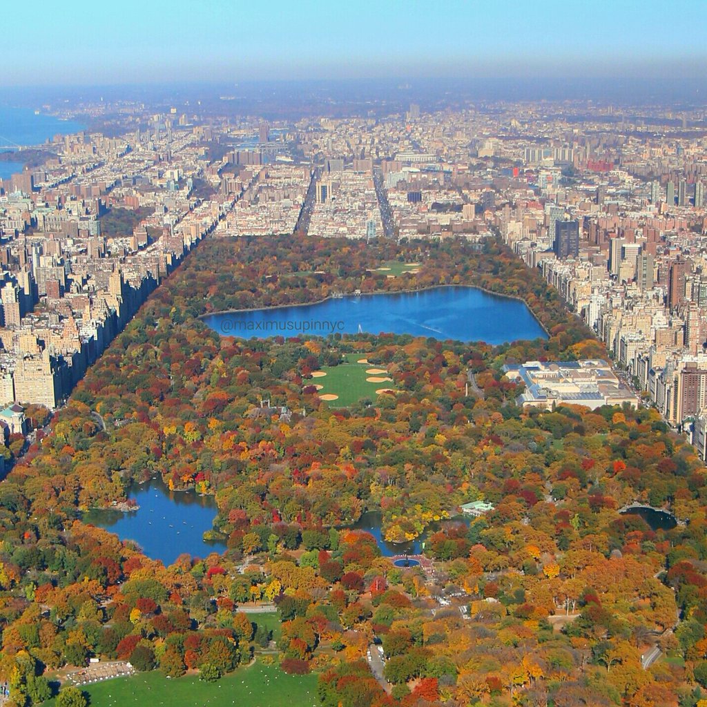 GMA's tweet photo. Awesome look at Central Park draped in beautiful fall colors. [PHOTO/ @maximusupinNYc] https://t.co/hiwrA4kpdp