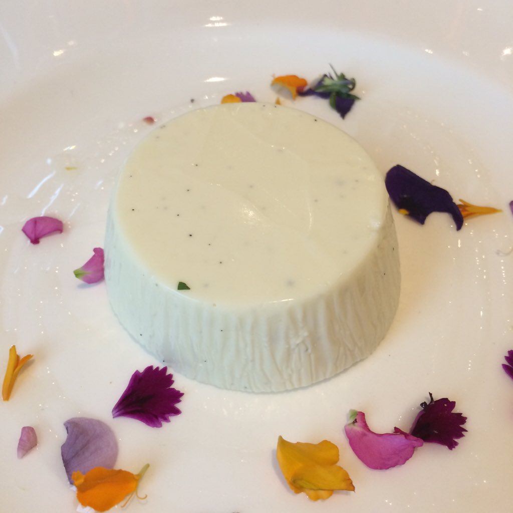 blogciaotutti's tweet photo. Panna cotta: delicious! #Robertos #Hilton #Robertopayer https://t.co/04E9Ainc22