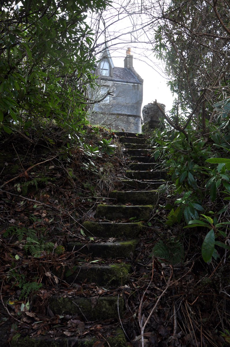 LungaHouse's tweet image. Fancy seeing what's up the stairs? in the window? through the archways? Come visit! @LungaHouse @Bill_Baillie