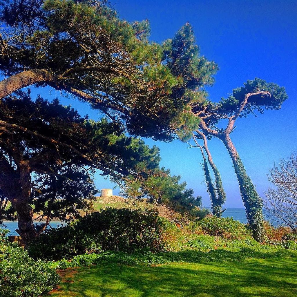 purelyangelina's tweet photo. The Emerald Isle - the view from Killiney Hill, #Dublin #60dollarsaday 
#travel #Ireland #… https://t.co/9yNbvfIzzK https://t.co/c1z3PAuxqR