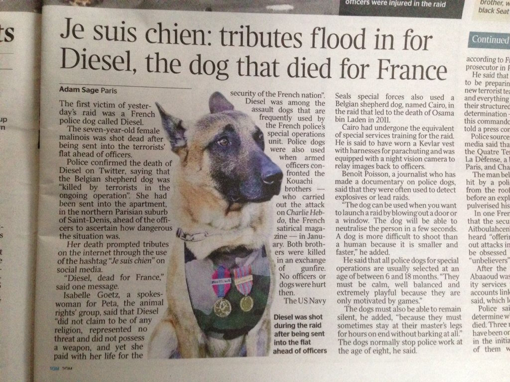 jeannesmith1's tweet photo. @ESTER71 @thetimes today page3 #JeSuisChien @Canine_Rights @PeterEgan6 @marcthevet @johnmcdonnellMP #Respect4Dogs https://t.co/PIPcEzdA0o