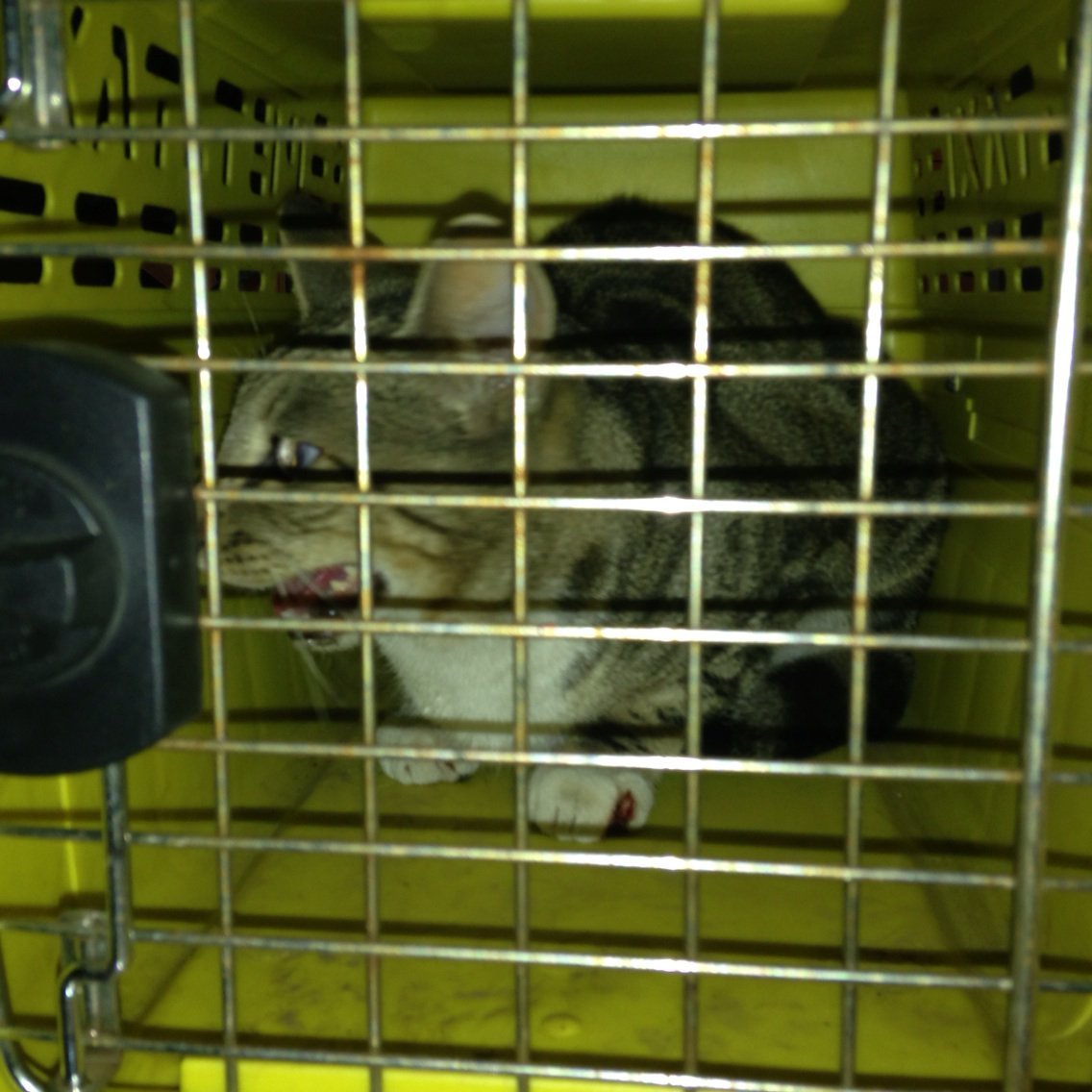 Sean Casey tweet media