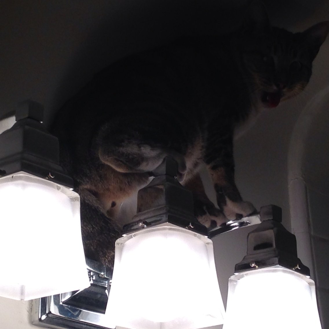 Sean Casey tweet media