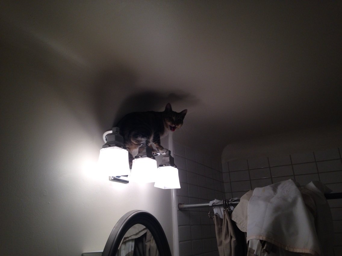 Sean Casey tweet media