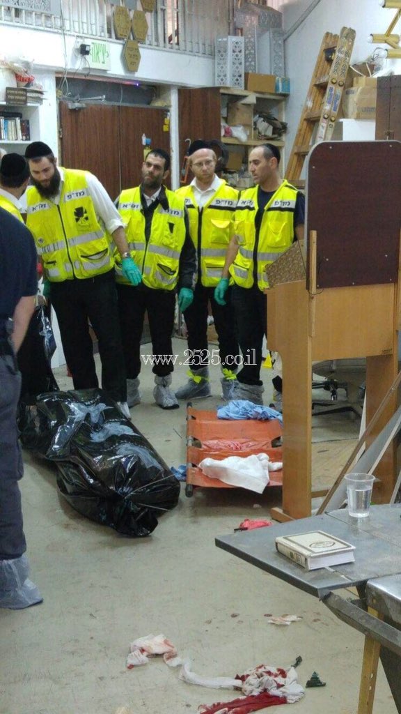 Avi Mayer אבי מאיר tweet media